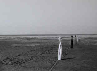 Kunst zum Schach - Schachfiguren bei Ebbe im Watt der Nordsee